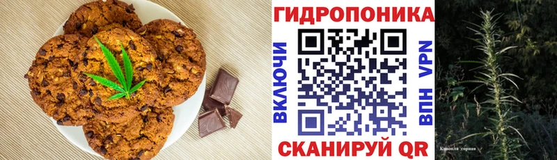 hydra вход  Удомля  Canna-Cookies марихуана  дарнет шоп 
