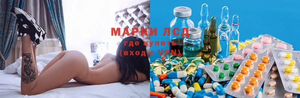 бошки Аркадак