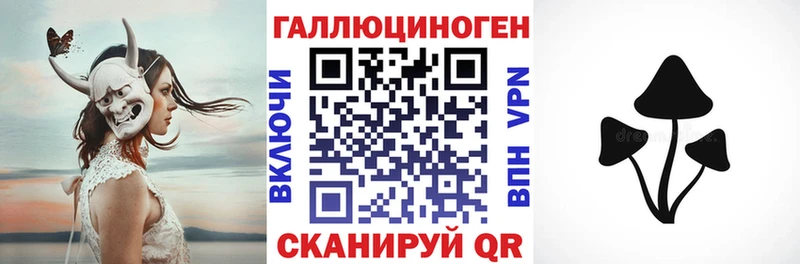 shop Telegram  Удомля  OMG маркетплейс  Псилоцибиновые грибы Magic Shrooms  купить наркотик 